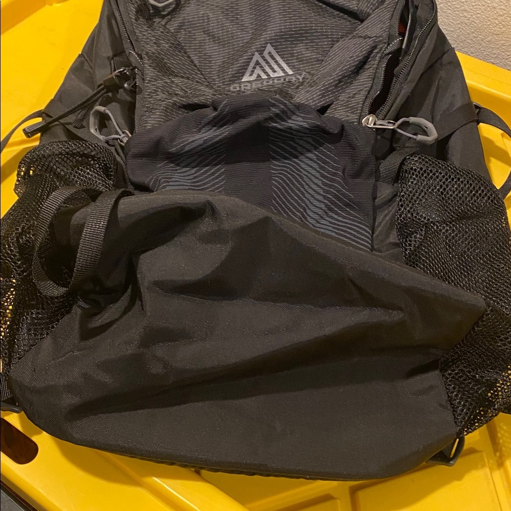 Gregory Nano 24 Pack NWOT - Picture 8 of 8